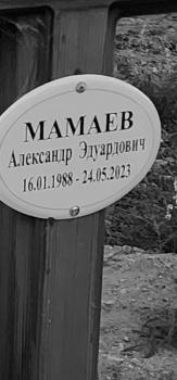 Александр Мамаев